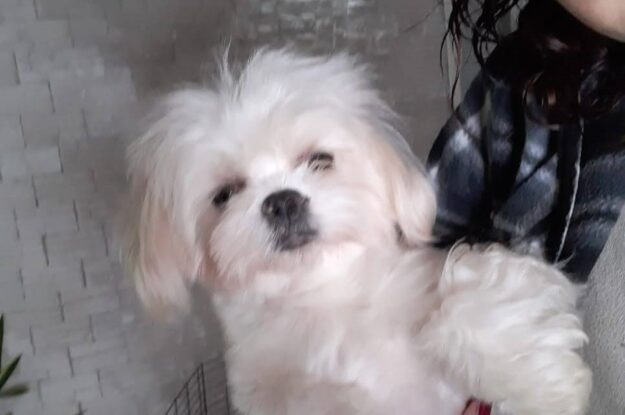 Casper